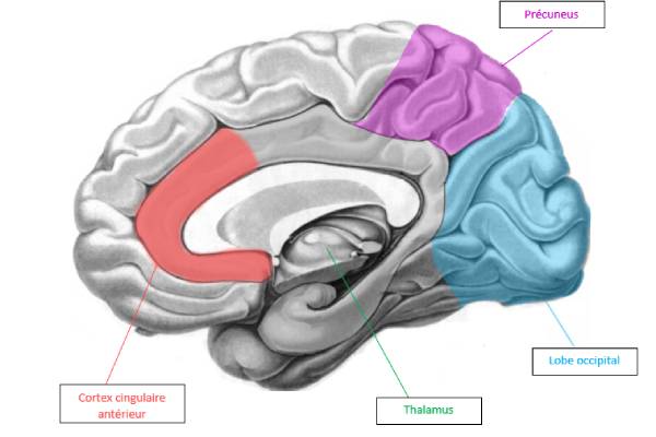 Le bonnet qui libère le cerveau